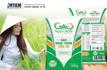 Thiết kế bao bì Gạo Ngon Nhất