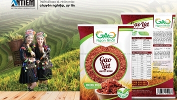 Thiết kế bao bì - nhãn mác